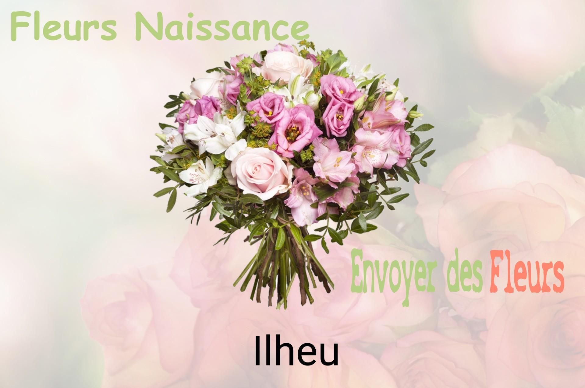 Bouquet de fleurs de naissance livré à Ilheu