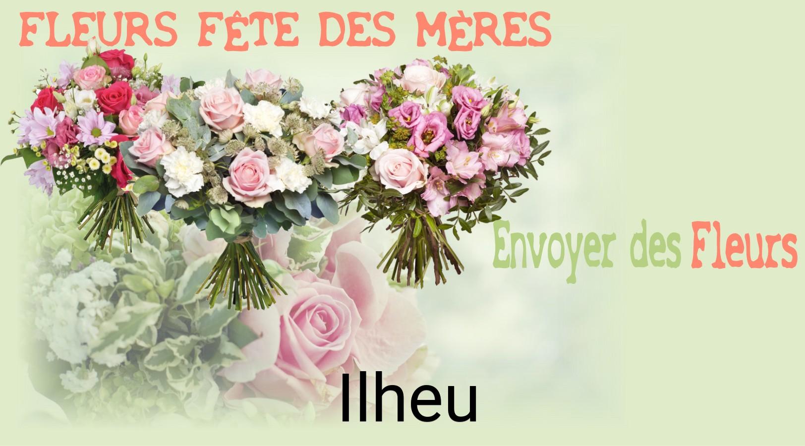 Bouquet de Fête des Mères livré à Ilheu